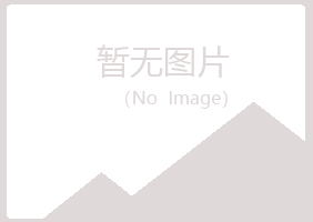 黑龙江山柏服务有限公司